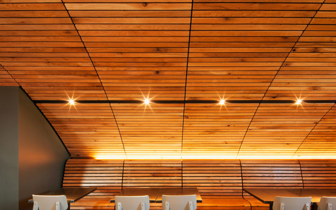 LeBao wins Merit Award from AIA Mid-Missouri